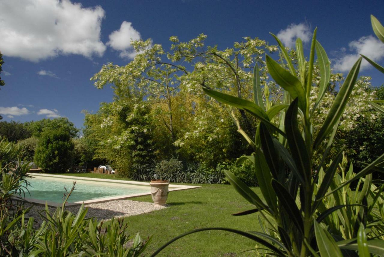 Le Coing Des Vignes Bed & Breakfast Mauressargues Exterior photo