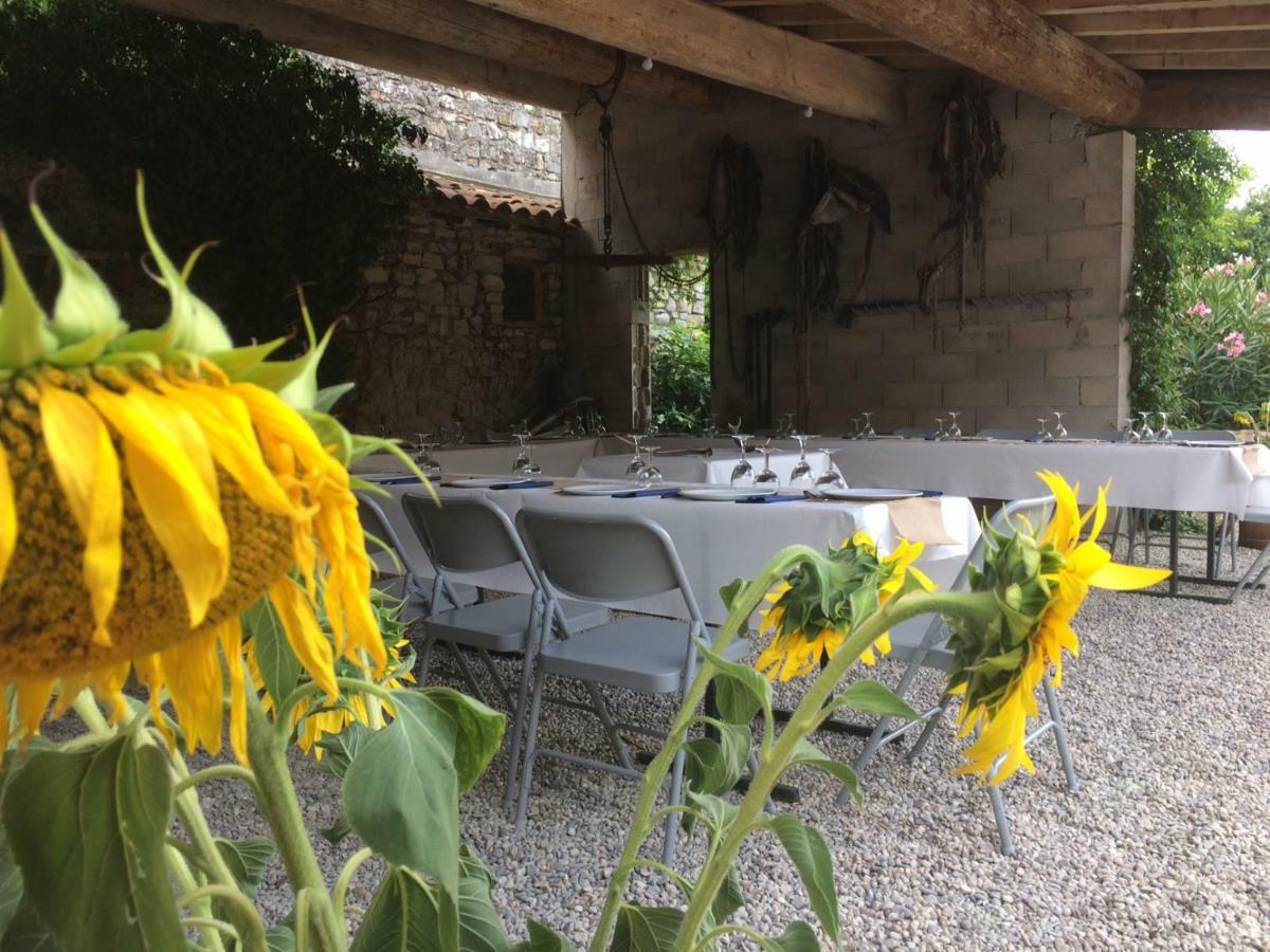 Le Coing Des Vignes Bed & Breakfast Mauressargues Exterior photo